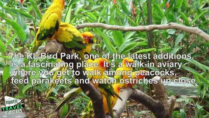 10 Impossibly Amazing Places to Visit in Kuala Lumpur