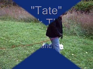 Dog Training Session 3 Week 3 with  Bichon Frise The "Lost Tapes"