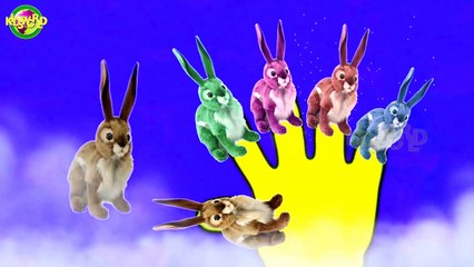 Finger Family Rabbit Cartoon Nursery Rhyme For Kids | Baby Songs | Kids World |