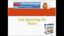 Cat spraying no more | Cat spraying no more Review
