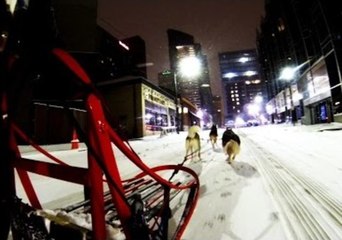 Dog Owner Sleds Across Deserted Pittsburgh Streets