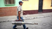 مئة و خمسة أشخاص على الأقل اصيبوا بفيروس زيكا في غواتيمالا