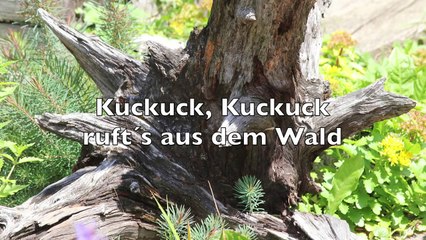 Download Video: Kinderlieder deutsch Kuckuck Kuckuck rufts aus dem Wald Kinderlieder zum Mitsingen