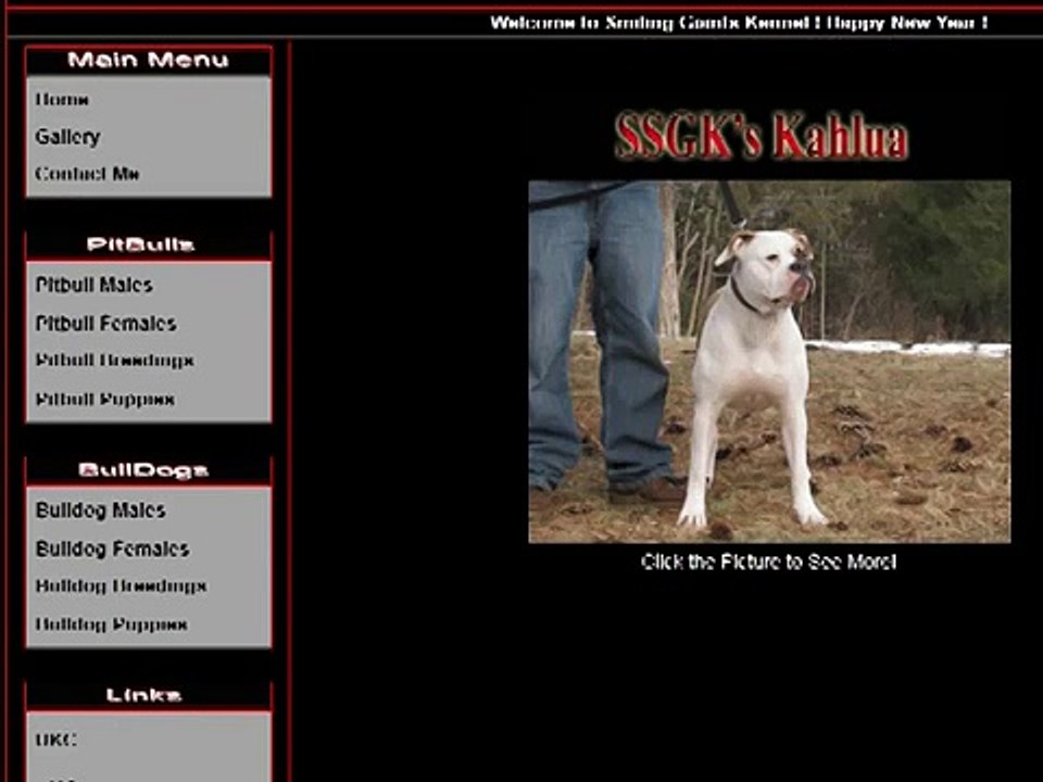 Traffic Travis 1$ for 7 days |Traffic Travis Free SEO Software