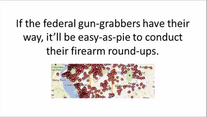 Ammo Independence - The Firearms Survival Guide