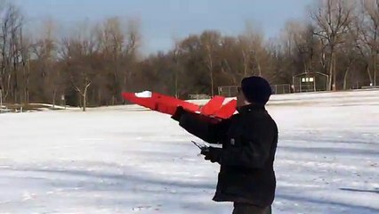 RCPowers F-35 flying low and slow on a bright winter day!