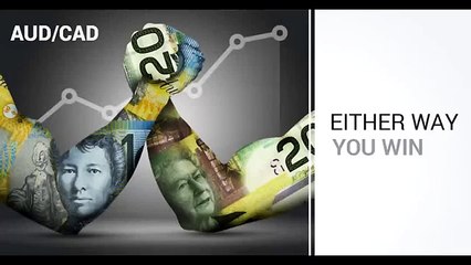 learning binary option - zulutrade review | binary options signals provider