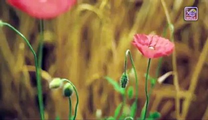Reham Karo Hamad-E-Bari Tala - Shahida Mini - Presented By Khaliq Chishti