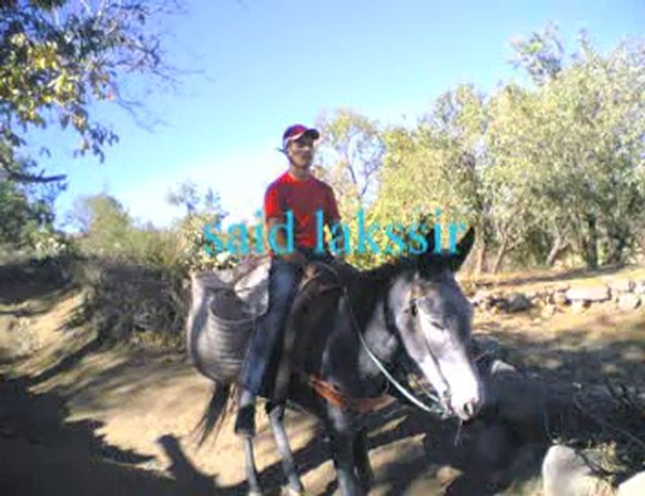 Said189@hotmail.com