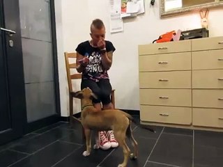 Clickertraining - Handtarget