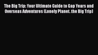 The Big Trip: Your Ultimate Guide to Gap Years and Overseas Adventures (Lonely Planet. the