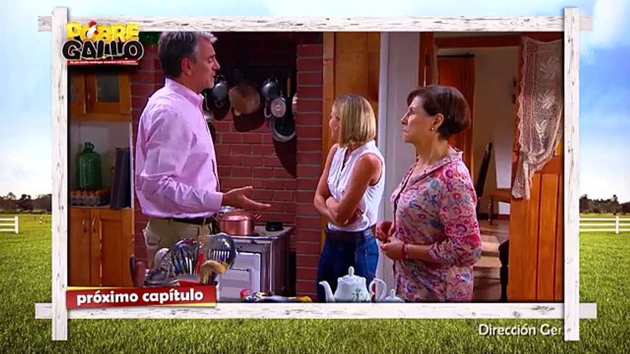 22 Avance-Pobre Gallo