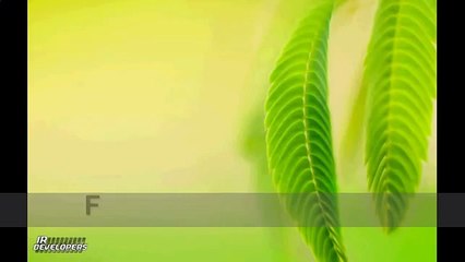 Free web traffic generator_ audello.mp4