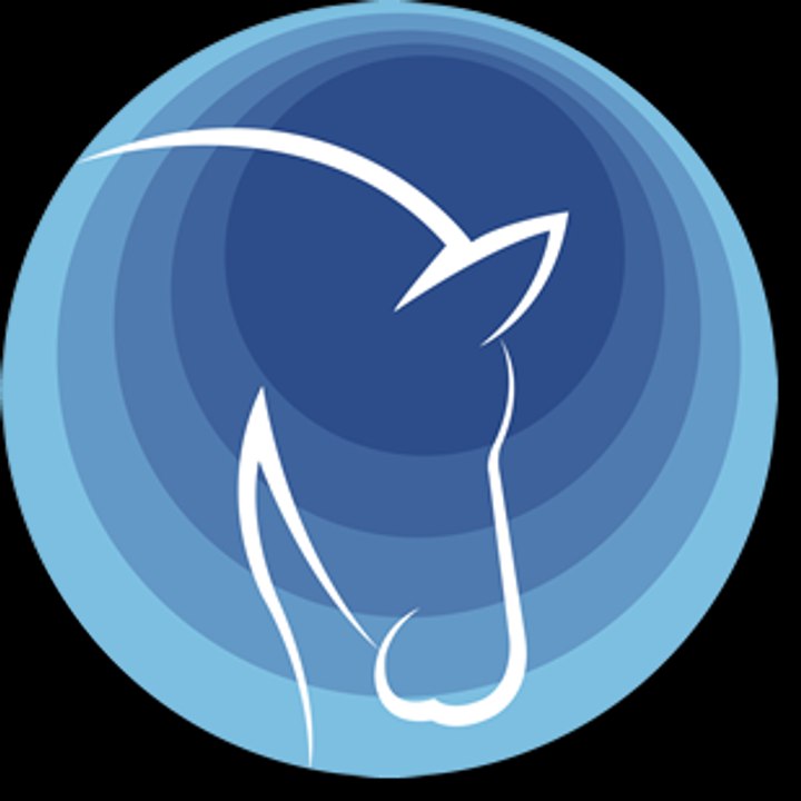 NUEVO STALLION IPTV ACTUALIZADO CON LOS MEJORES CANALES