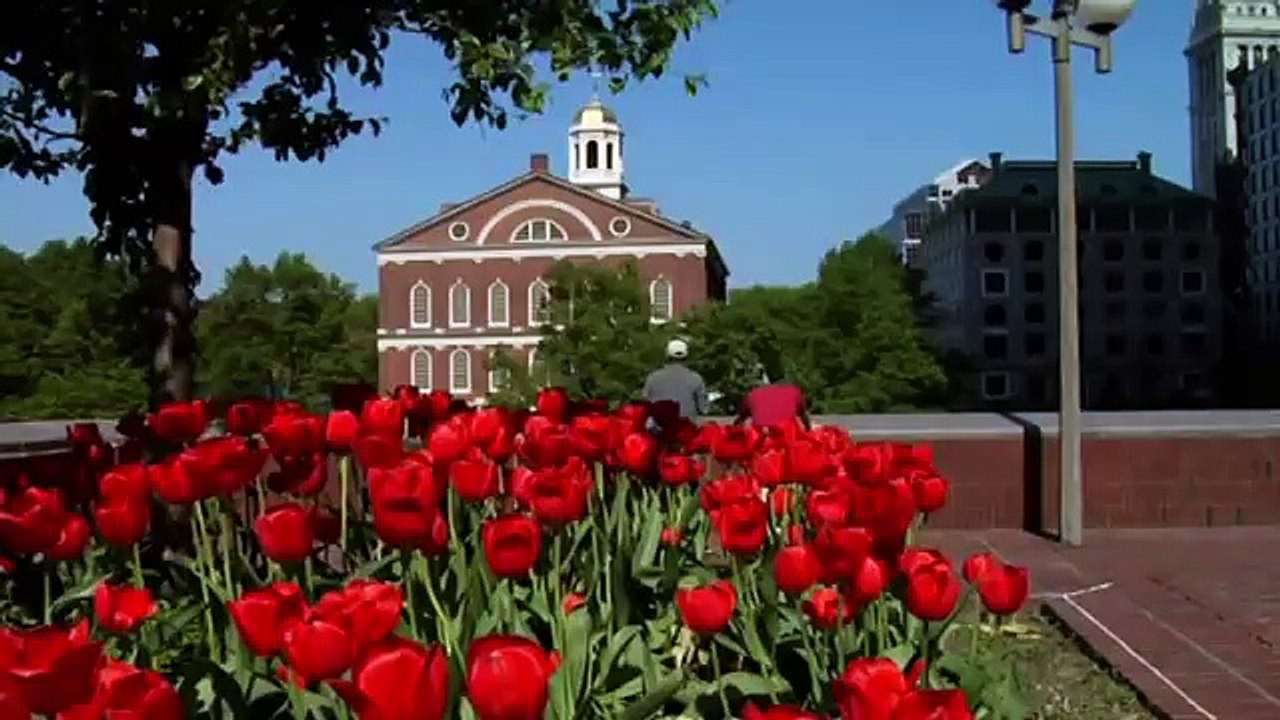 Welcome to the Globus family of brands in North America