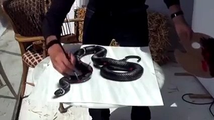 funny vidieoVID-20151023-WA0080