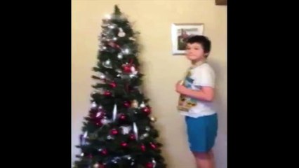 Kid Fails At Placing Star On Top Of Christmas Tree