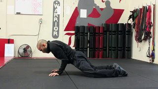 TACFIT Plank Pull Knee | Element 5 Fitness Kirkland Personal Trainer