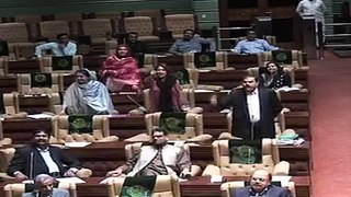 FIGHT IN NATIONAL ASSEMBLY 2016