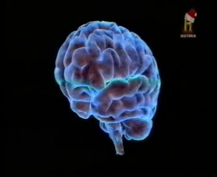 Psicologia: Asentir con la cabeza (Neuronas espejo)