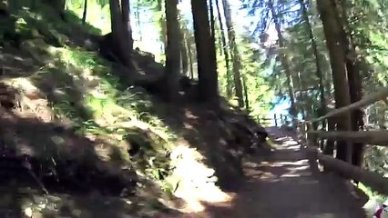 Bichon Frise "Doris" - Mein erster Italienurlaub