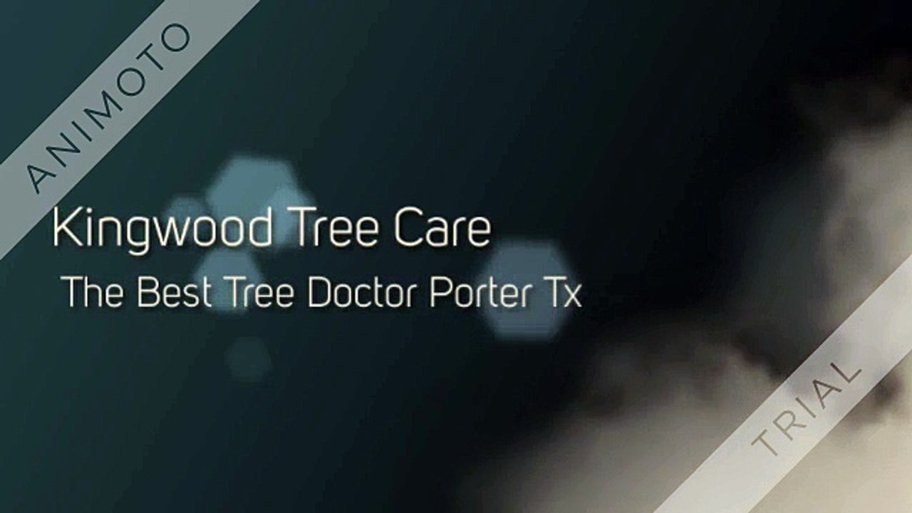 Tree_Doctor_Porter_Tx_360p