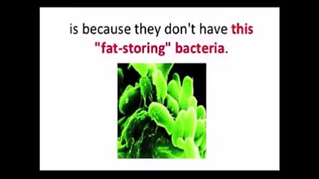 Skinny Protocol Program Garrett Branch | Amazing Skinny Protocol Program Garrett Branch