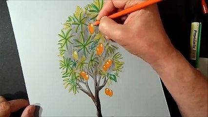 How I Draw a 3D Mango Tree, Trick Art, Time Lapse