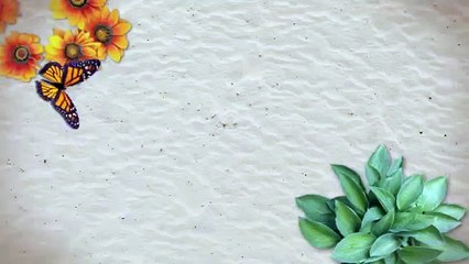 Warre Garden Hive Construction Guide 2.0