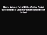 Glacier National Park Wildlife: A Folding Pocket Guide to Familiar Species (Pocket Naturalist