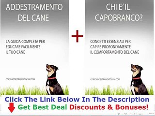 Corso Addestramento Cani Brianza Discount + Bouns