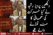 Most Stupid Answer By Pervaiz Rasheed About General Raheel’s Question| PNPNews.net