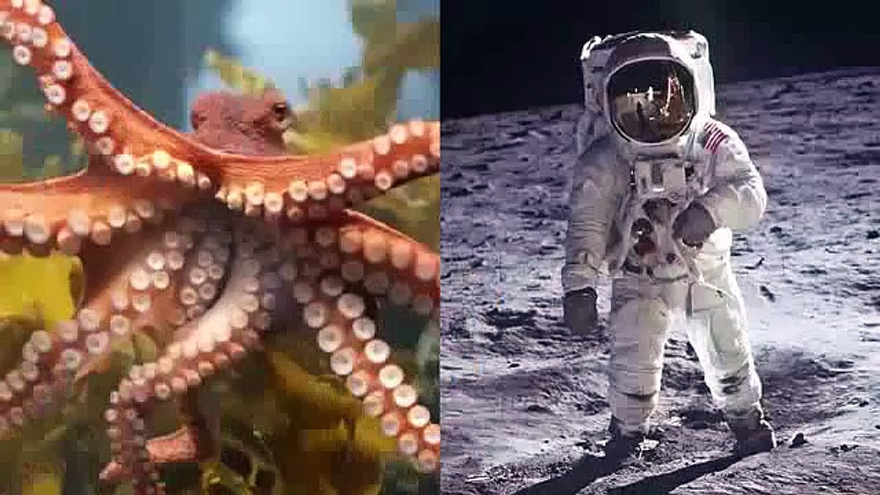 Vision Without Glasses Review: Scam [Vision Without Glasses  Reviews]