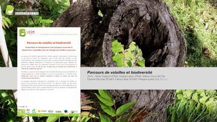 Parcours de volailles : biodiversité