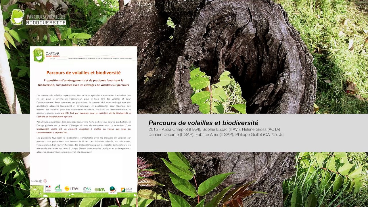 Parcours de volailles : biodiversité