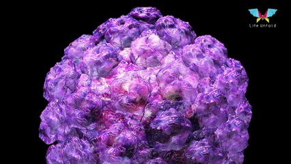 Important Information about Cervical Cancer