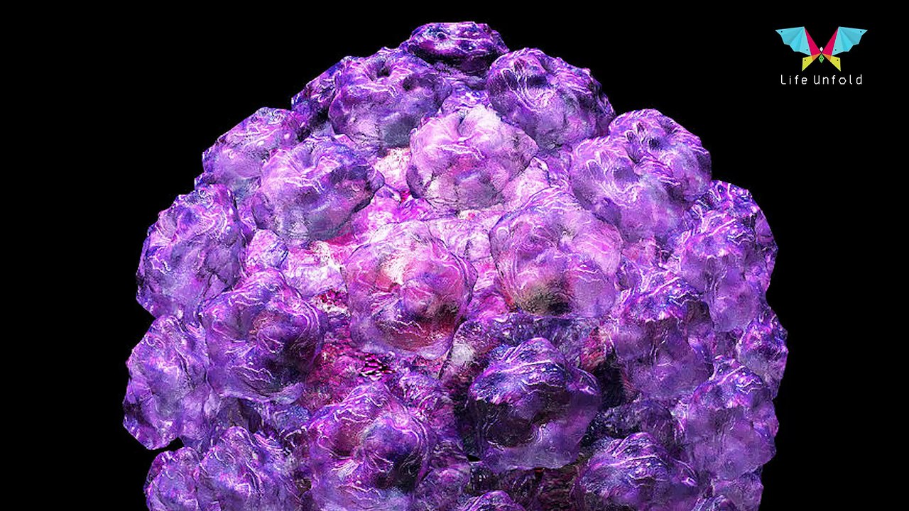 Important Information about Cervical Cancer