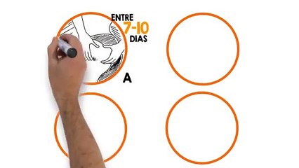 Programa Adeus Celulite (Joey Atlas) | Vamos Eliminar a Celulite