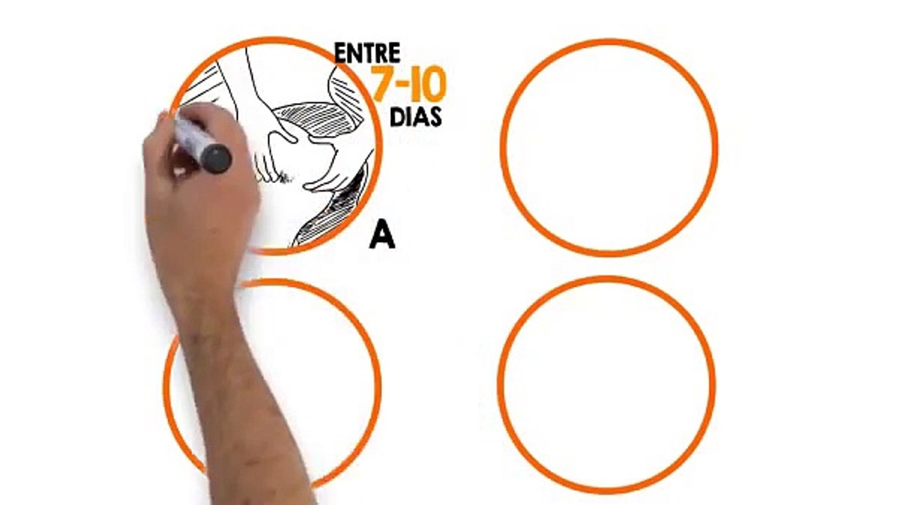 Programa Adeus Celulite (Joey Atlas) | Vamos Eliminar a Celulite