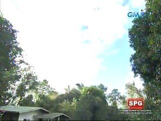 Buena Familia February 4 2016