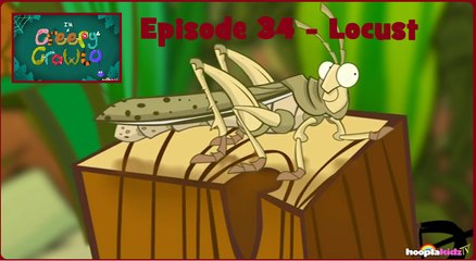 I'm a Creepy Crawly - Episode 34 - Locust