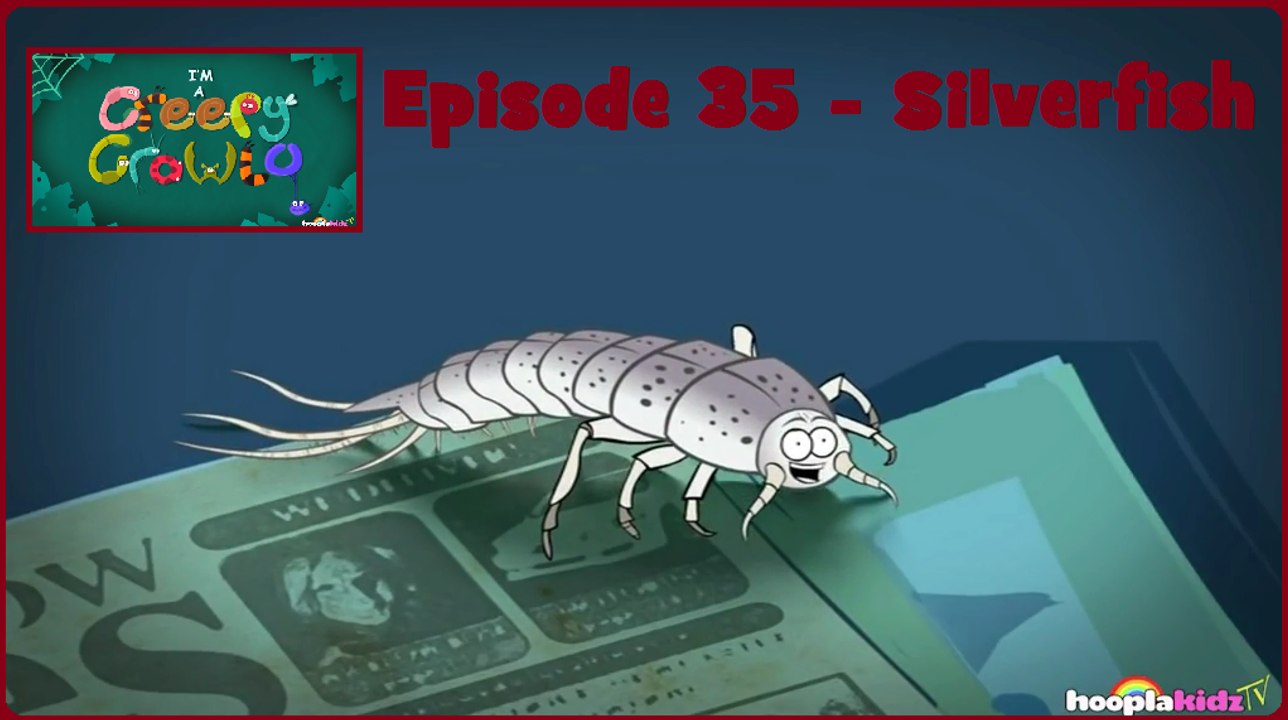 I'm a Creepy Crawly - Episode 35 -  Silverfish