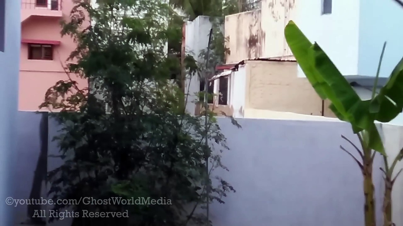 Real Ghost Stuck On Flower Plant Caught On Camera (Haunted Tape)