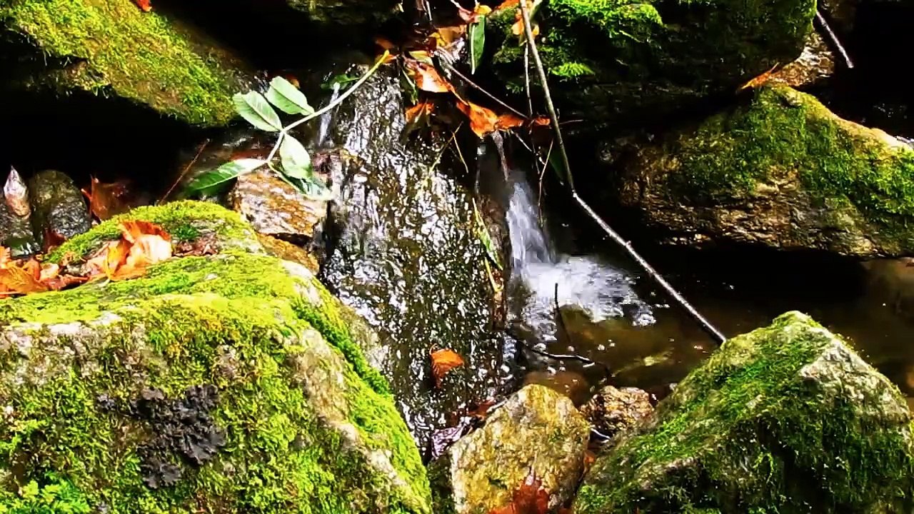 sdf7053583398_Beautiful Nature