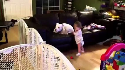 Funny baby annoying deaf pitbull Pajama Sam- POPULAR on MSN StoryFul KakaoTalk Reddit