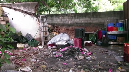 REAL GHOST CAUGHT ON TAPE INSIDE GIANT TREE