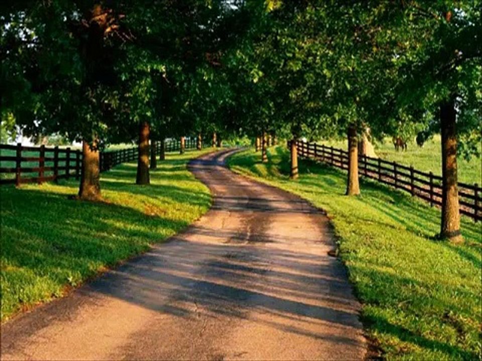 Yenice Yolları Bükülür Gider