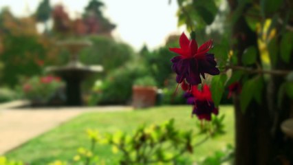 A Place Like This (Documentary Short Film)