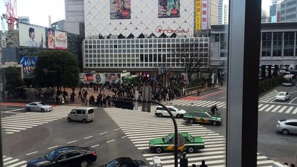 在宅中国貿易スクール（仮名）の渋谷スクランブル交差点日記