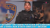 Jethro, un chien policier du canton de l'Ohio aux États-Unis est décédé... Plus d'infos dans la minute chien #120